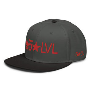 100% D.P 5 Star Level #2A Snapback Hat