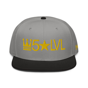 100% D.P 5 Star Level #6A Snapback Hat