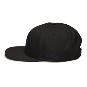 100% D.P 5 Star Level #8 Flat Embroidery Snapback Hat
