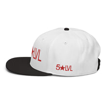 100% D.P 5 Star Level #2A Snapback Hat