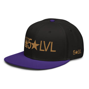 100% D.P 5 Star Level #4A Snapback Hat