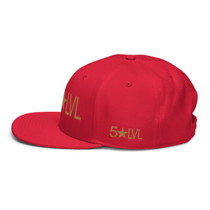 100% D.P 5 Star Level #4A Snapback Hat
