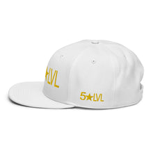 100% D.P 5 Star Level #6A Snapback Hat