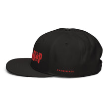 100% D.P Bold Logo (words left & right) #3 Flat Embroidery Snapback Hat